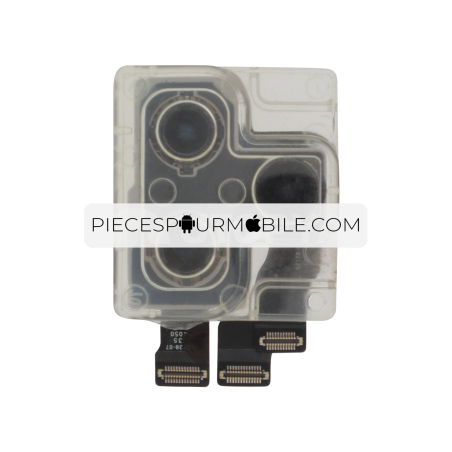 Ensemble Caméra Arrière iPhone 11 Pro/11 Pro Max (ReLife) 