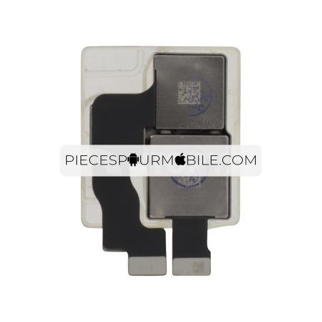 Ensemble Caméra Arrière iPhone 11 Pro/11 Pro Max (ReLife) 