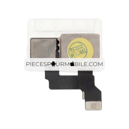 Caméra Arrière iPhone 12 Mini (ReLife) 