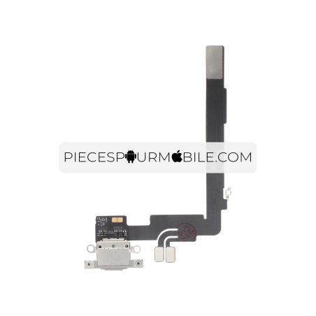 Connecteur de Charge Titane Naturel iPhone 16 Pro Max 