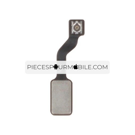 Nappe Antenne Wifi/CC iPhone 8 