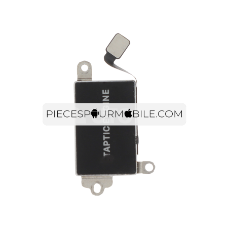Vibreur iPhone 12 Pro Max 
