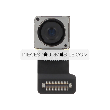 Caméra Arrière iPhone SE 