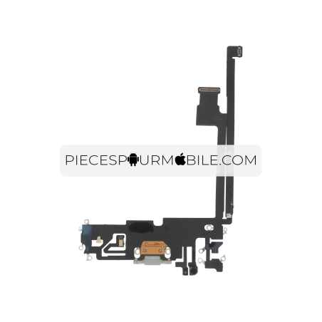 Connecteur de Charge Argent iPhone 12 Pro Max 