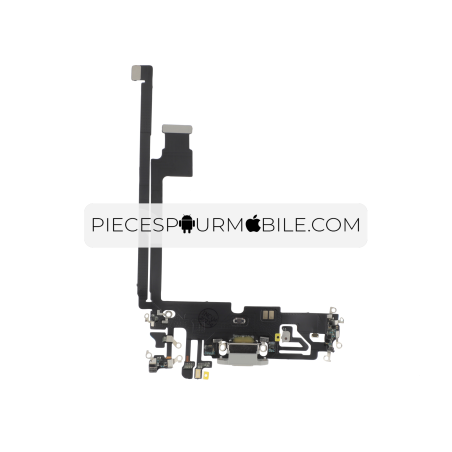 Connecteur de Charge Argent iPhone 12 Pro Max 