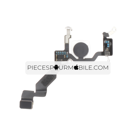 Nappe Flash iPhone 13 Pro Max 