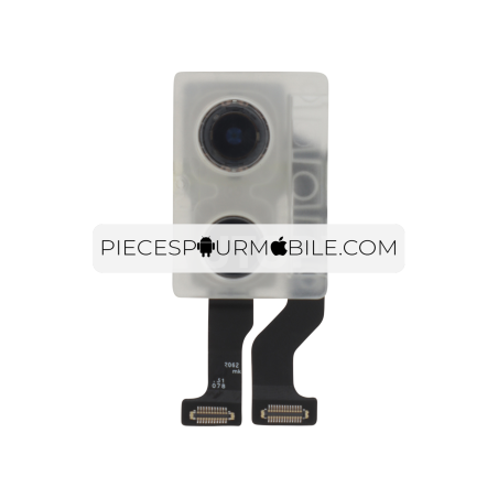 Ensemble Caméra Arrière iPhone 11 (ReLife) 
